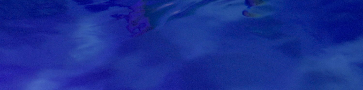 Gruenholtz profile banner