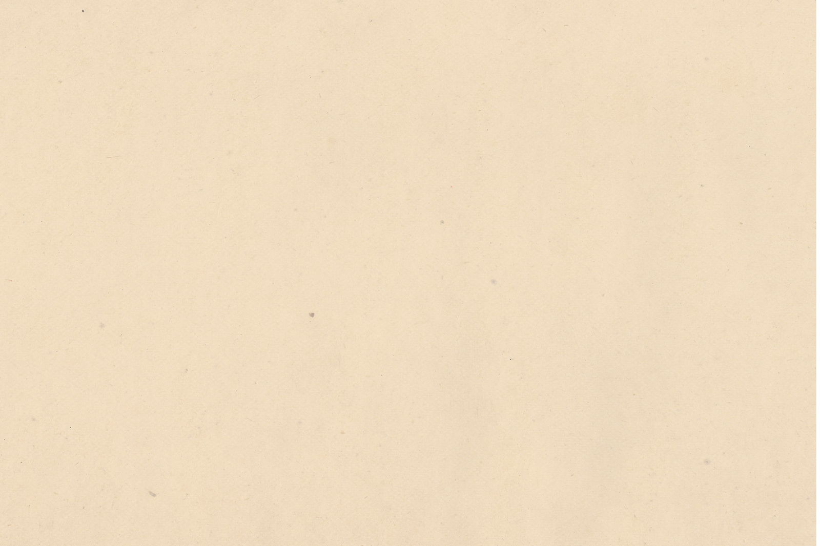 August profile banner
