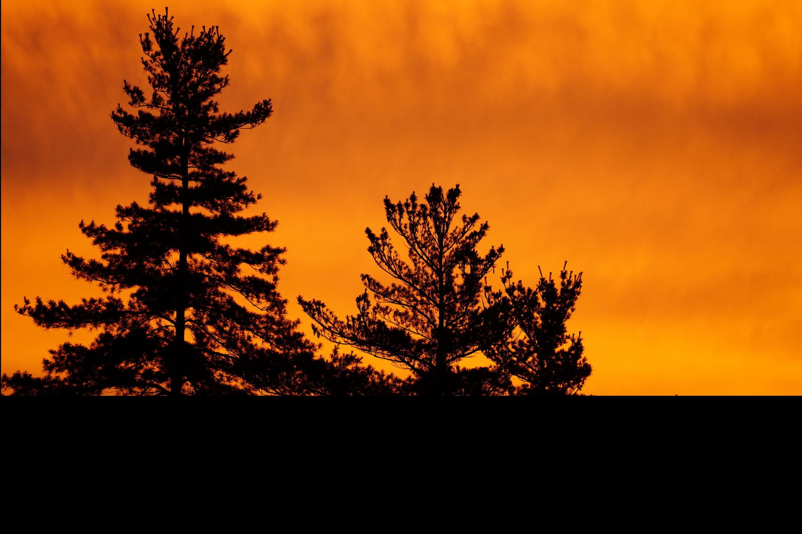 pizzatime69420 profile banner