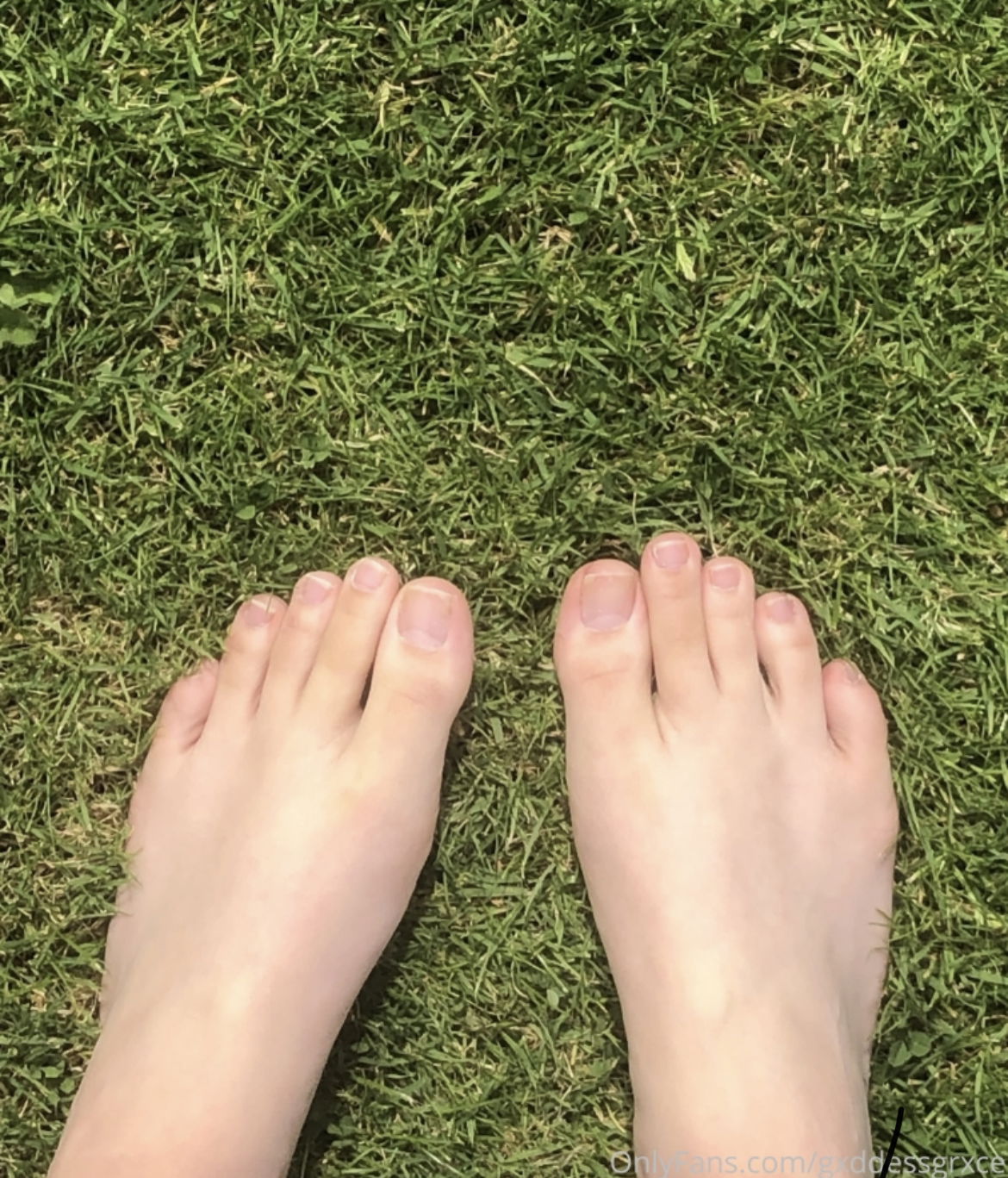 Grace 🦋🦶🏼 profile banner