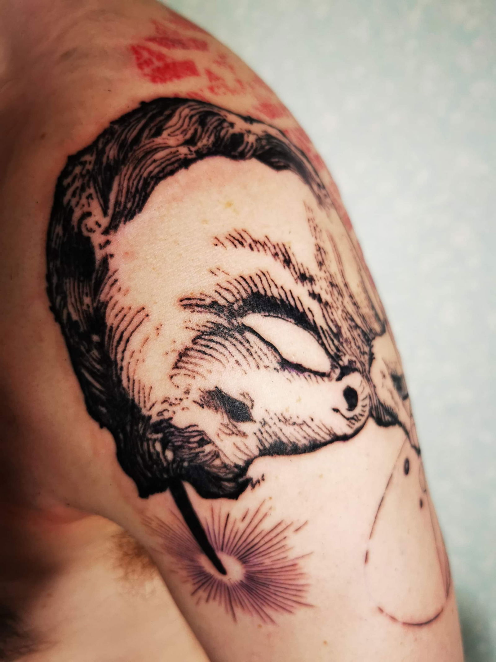 Nick profile banner