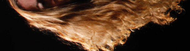Hairy Fae profile banner