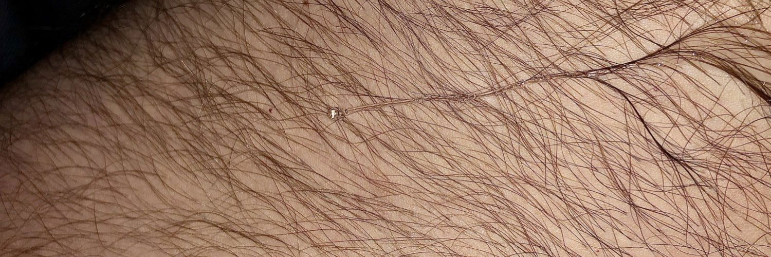 HairyAlaskanArtist profile banner