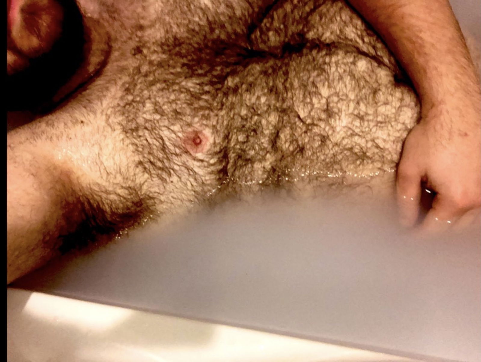 Hairy college cub profile banner