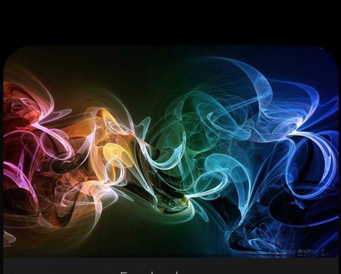 Haley ππ profile banner