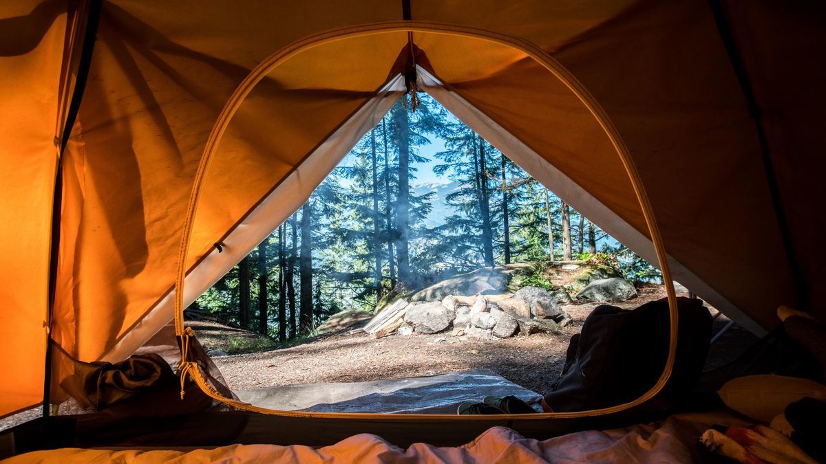 Happy Camper profile banner