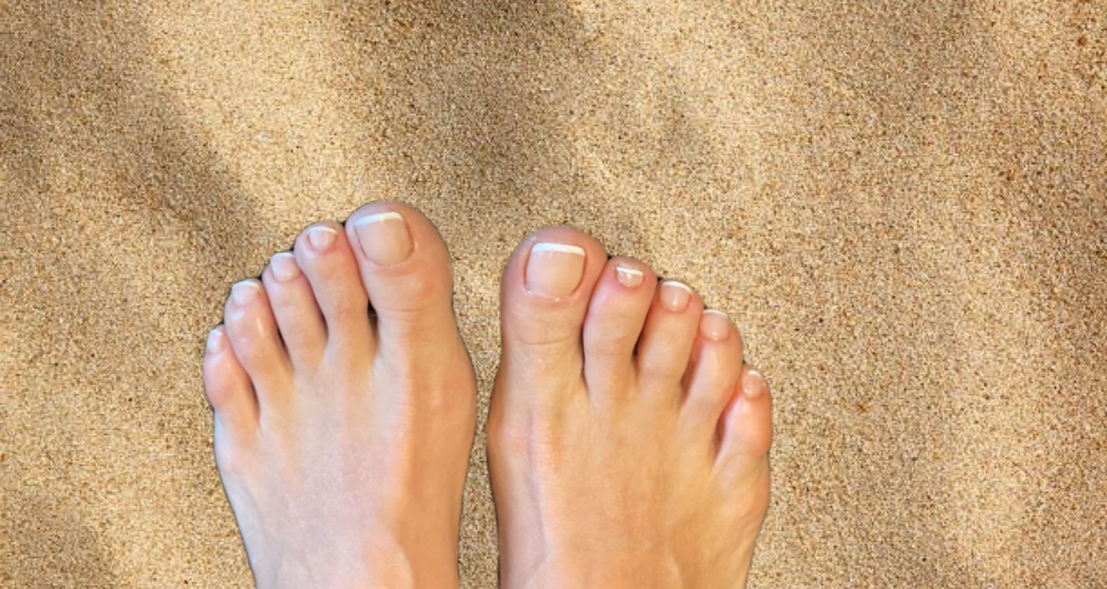 Happy Feet profile banner