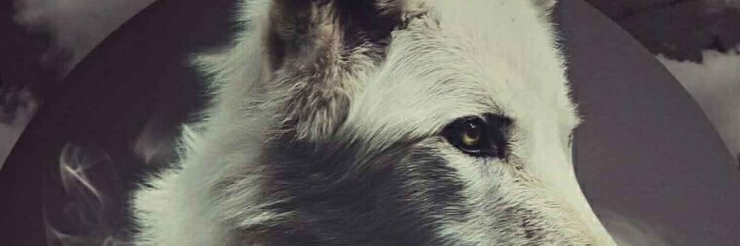 Happy Mod profile banner