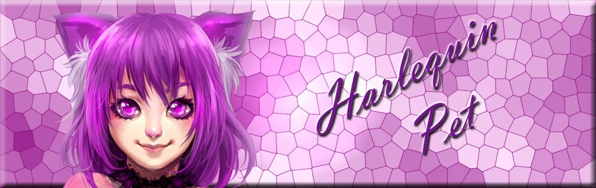 Harlequin Pet profile banner