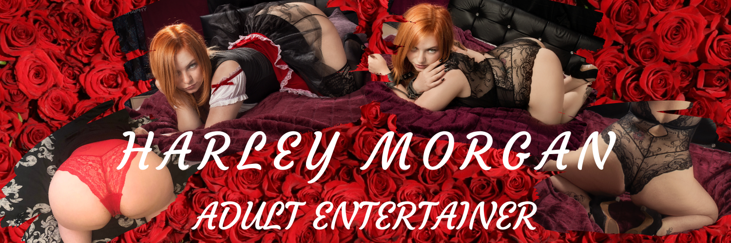 Harley Morgan profile banner