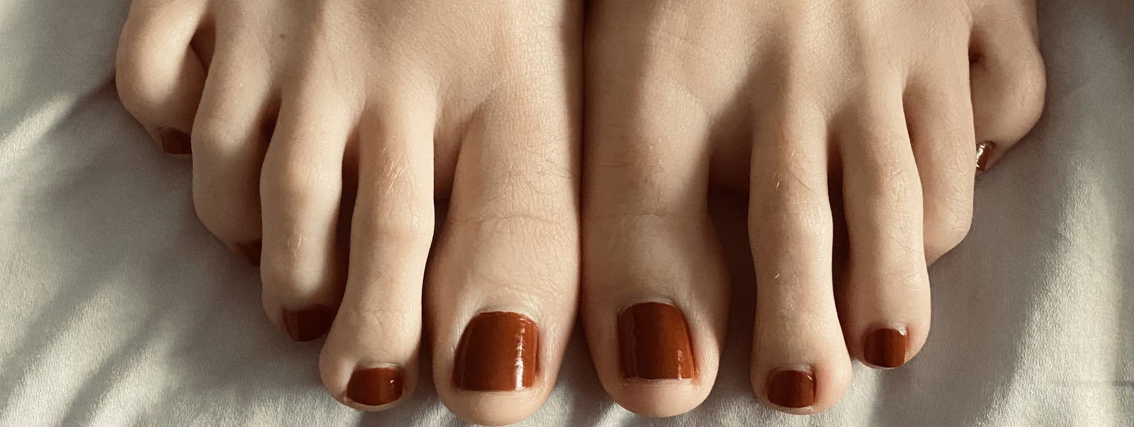 Harper's Feet profile banner
