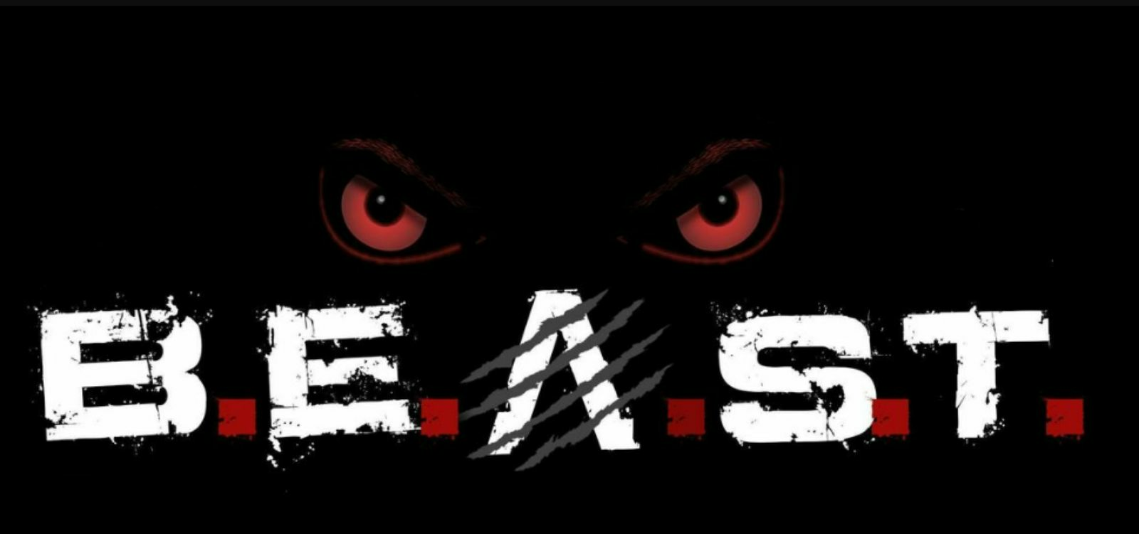 Havoc profile banner