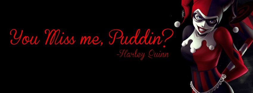 Hayley Quinn Free profile banner