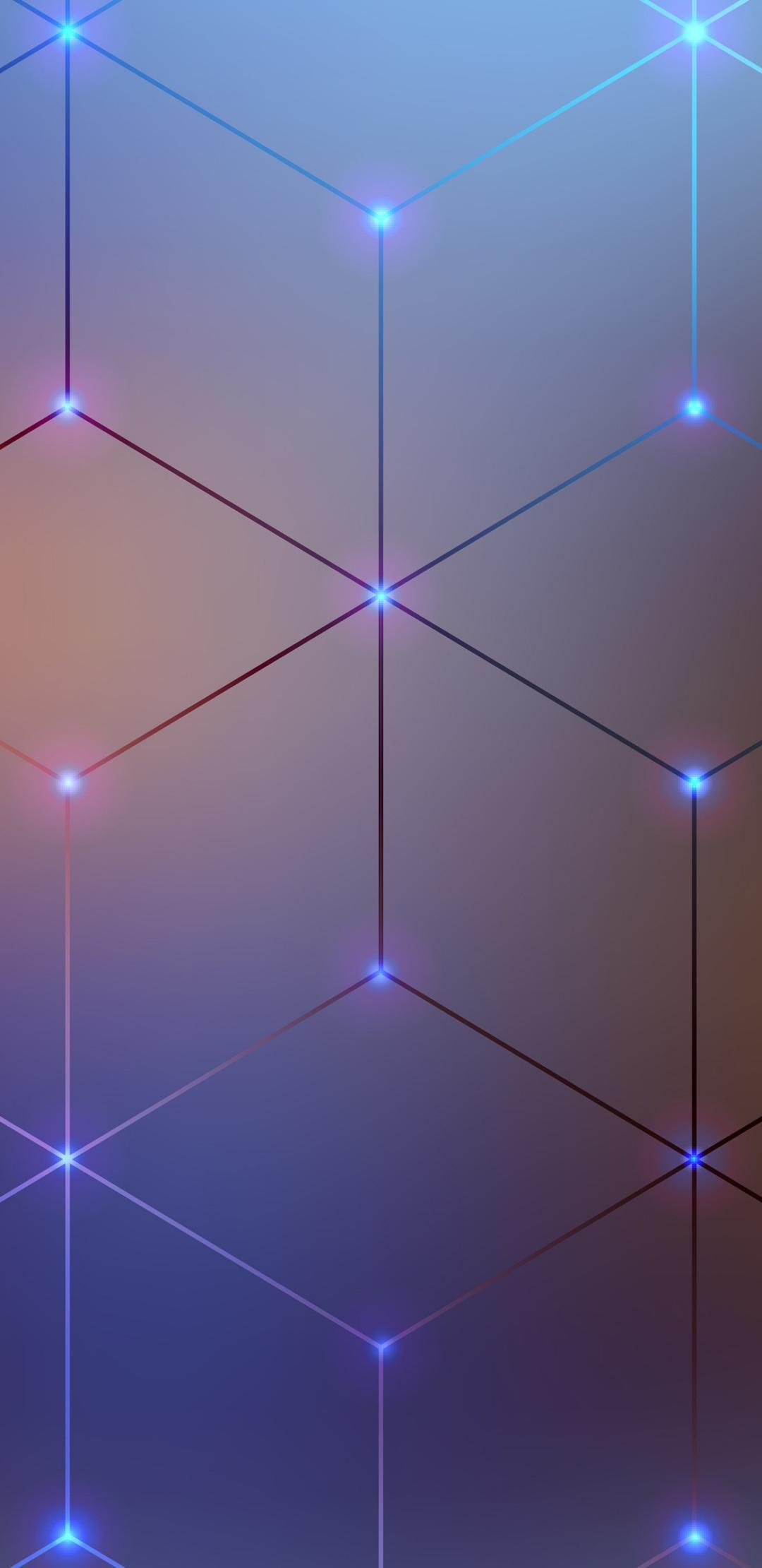 HaylieFoxx profile banner