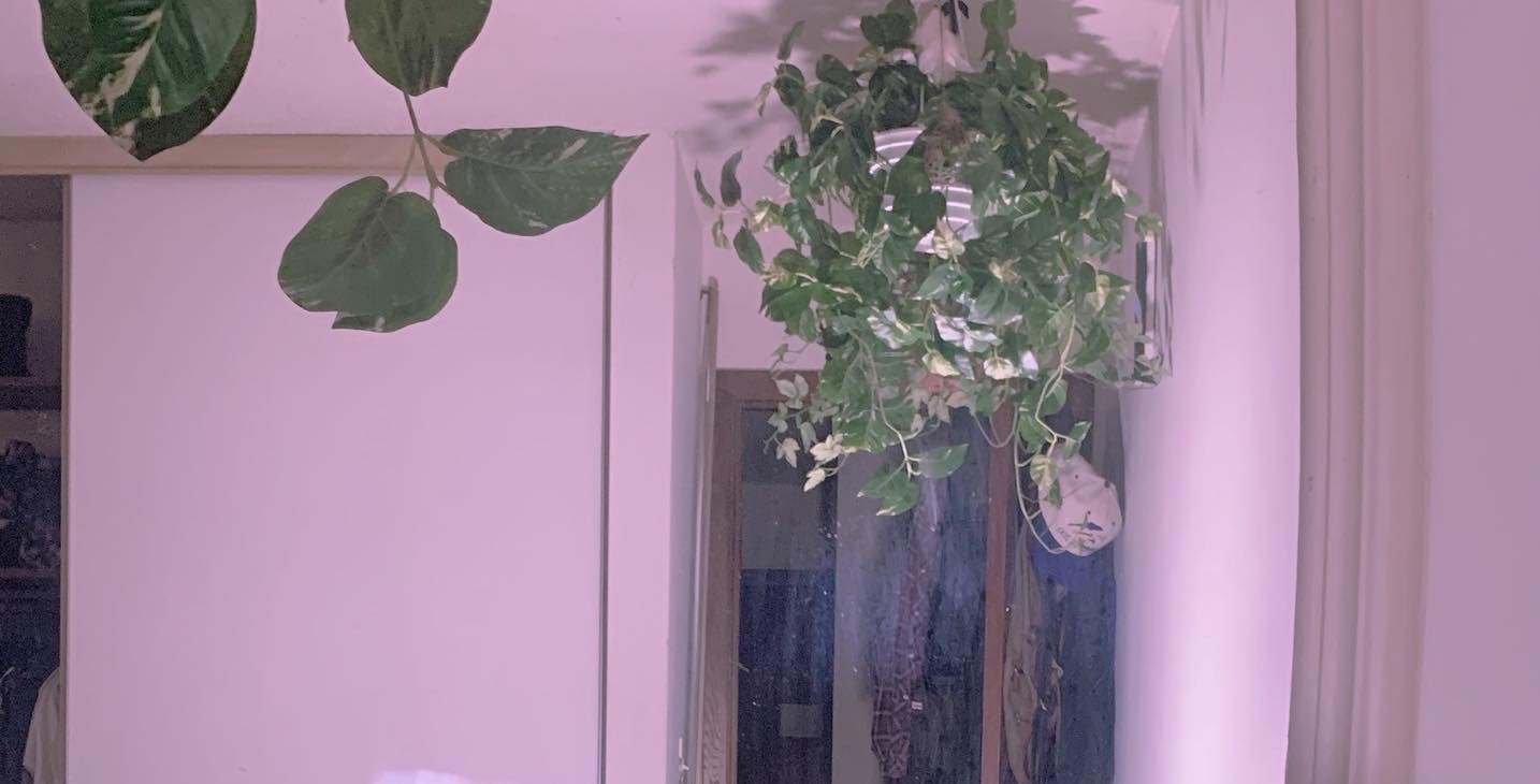 Hazyladyxxx profile banner