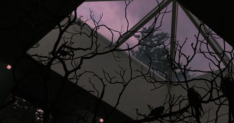 Hedera The Temptress profile banner