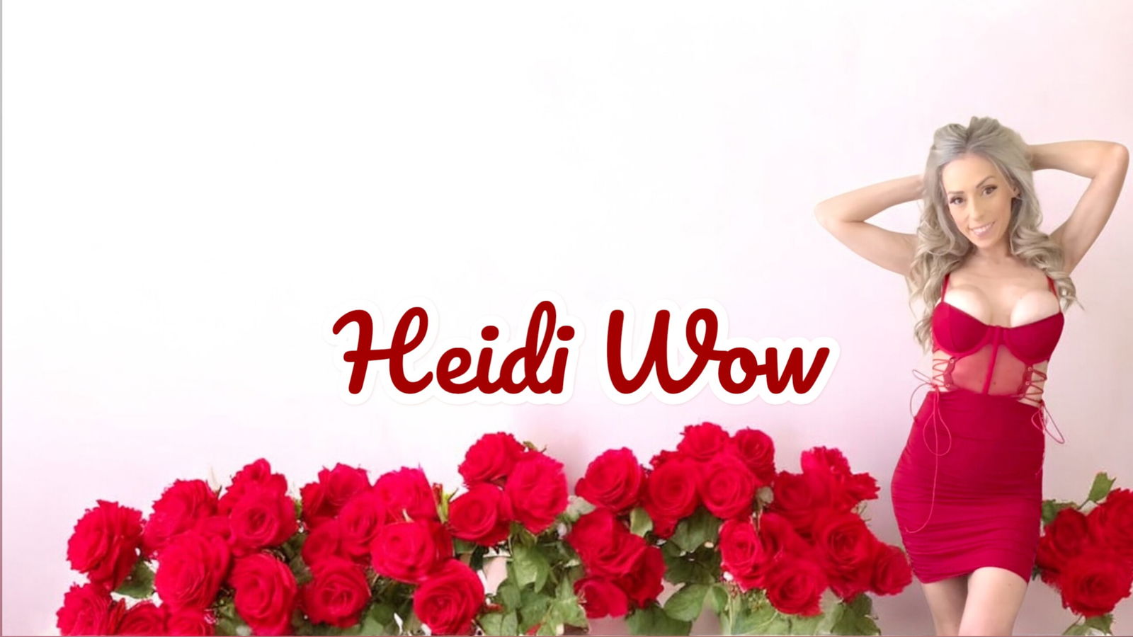Heidi Wow profile banner