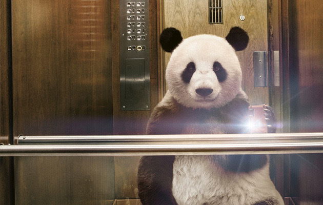 Pandaa Hendrixx profile banner