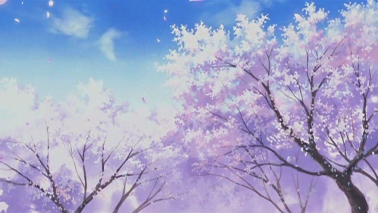 Peach Scone profile banner