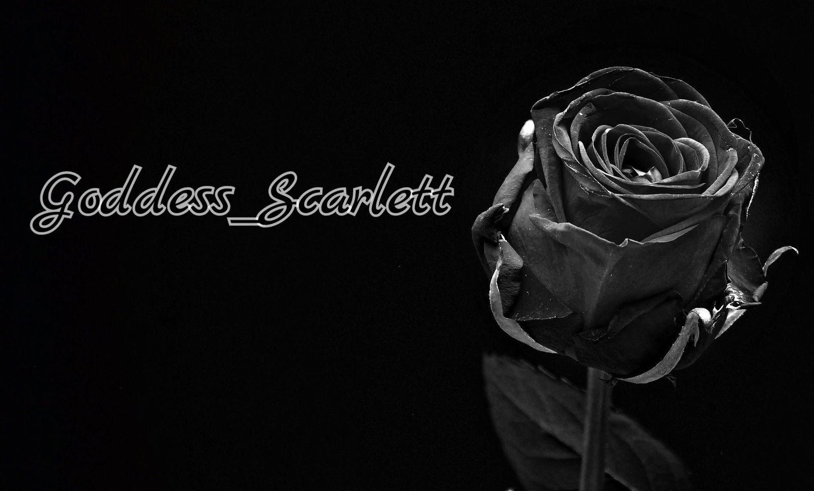 Goddess_Scarlett profile banner