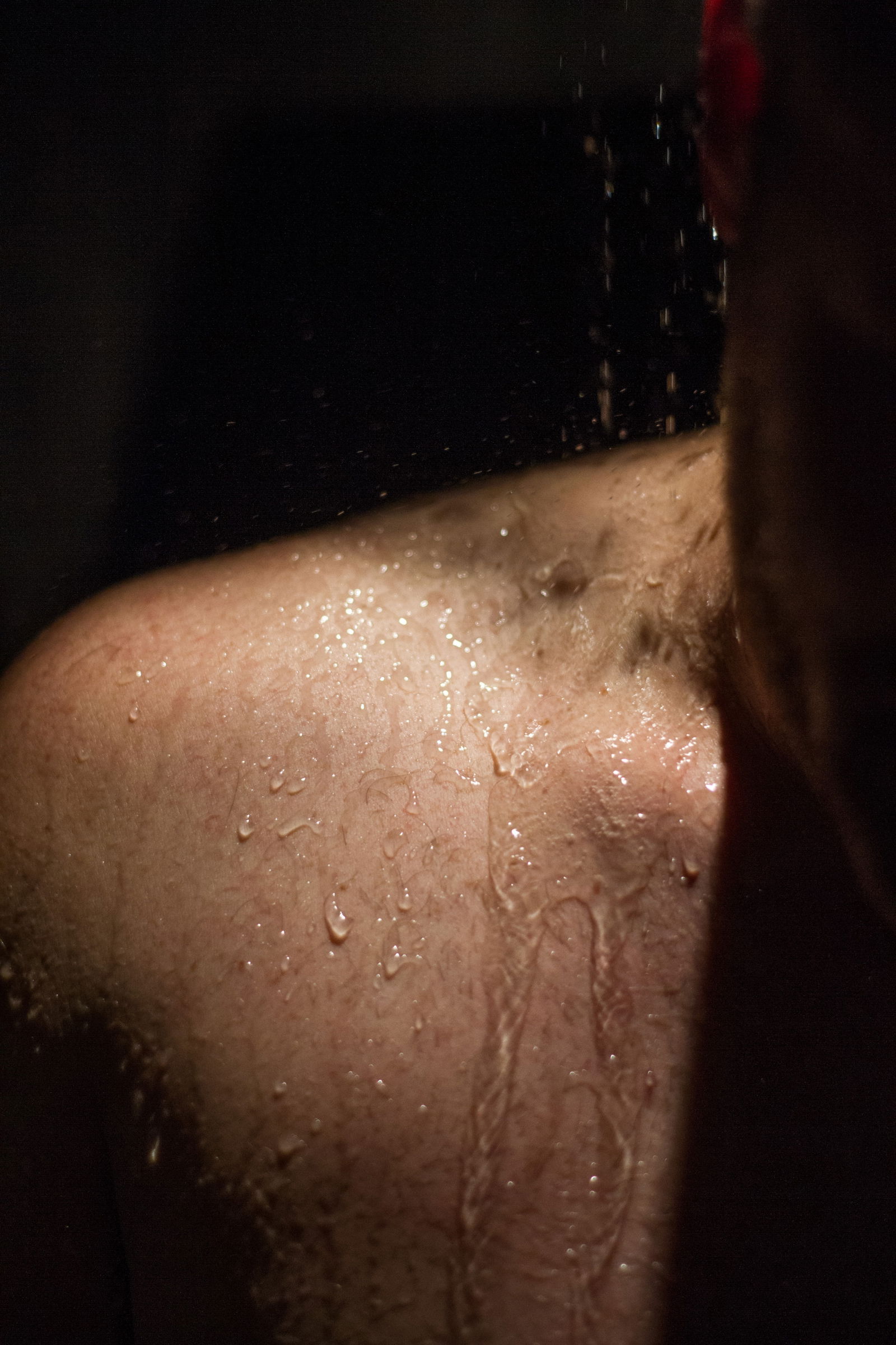 Louie profile banner