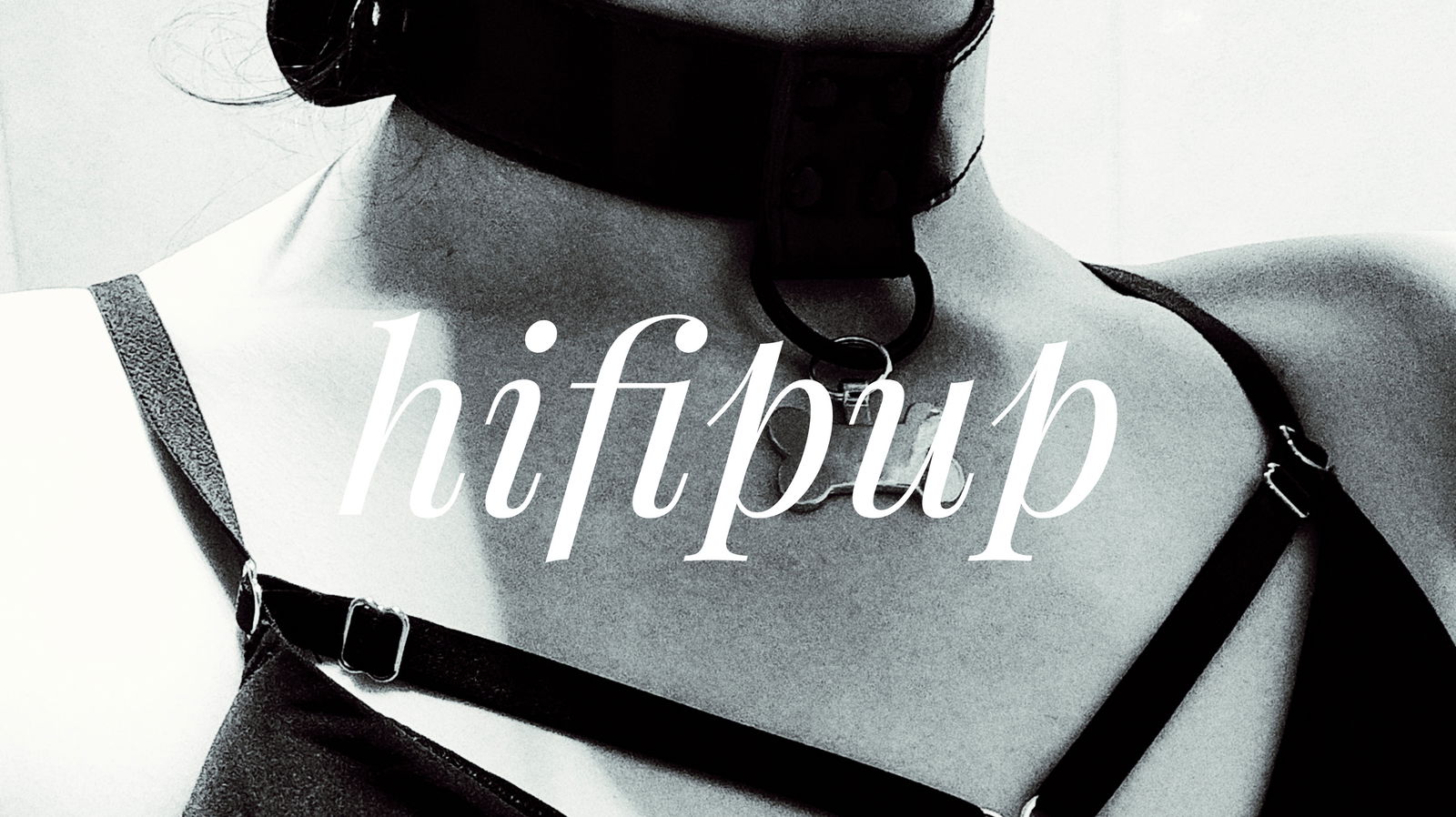 HifiPup profile banner