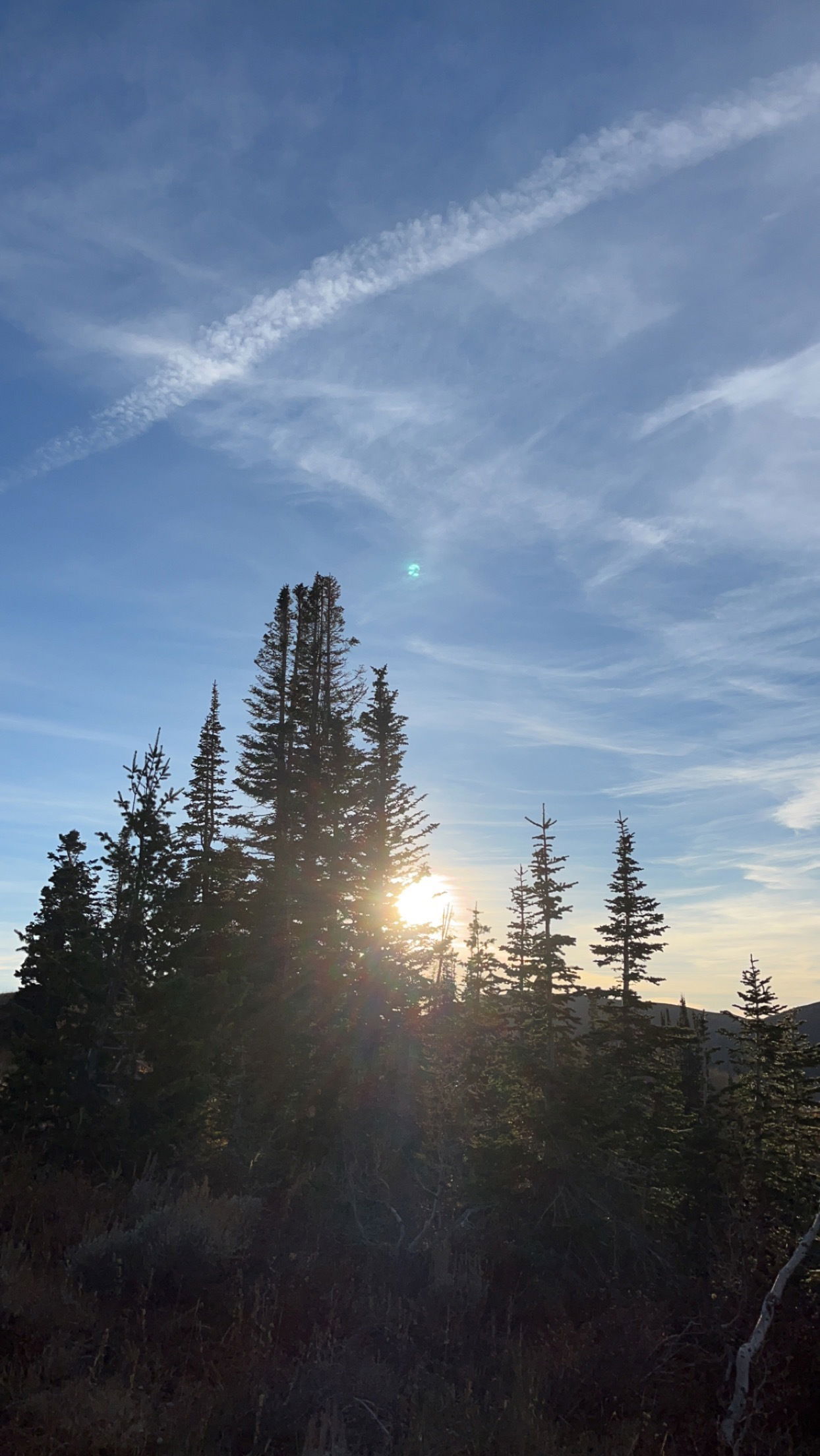HikerStud9 profile banner