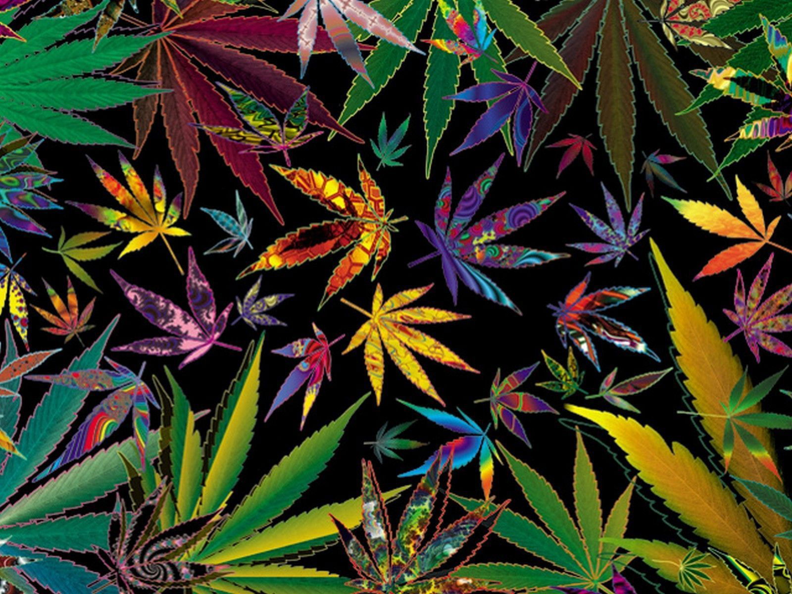 Hannah Haze profile banner