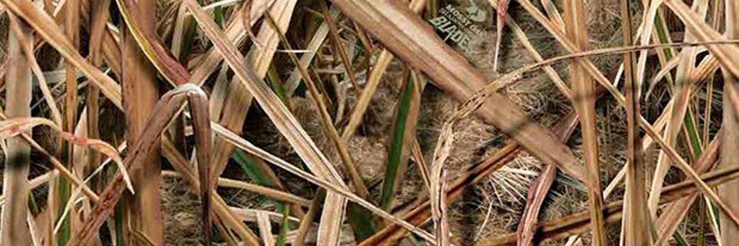 Fagyu Beef profile banner