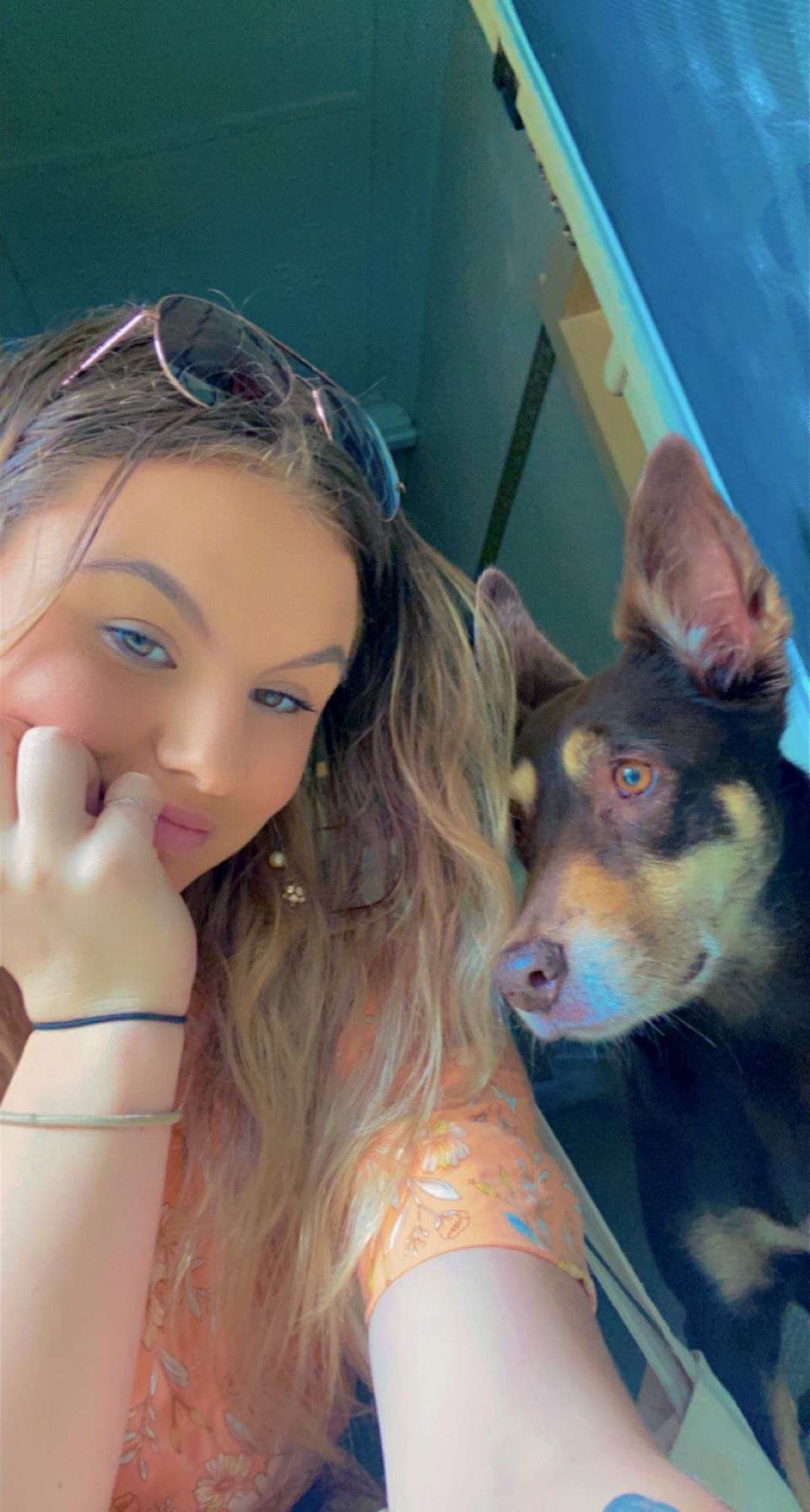 Holli Clementson profile banner