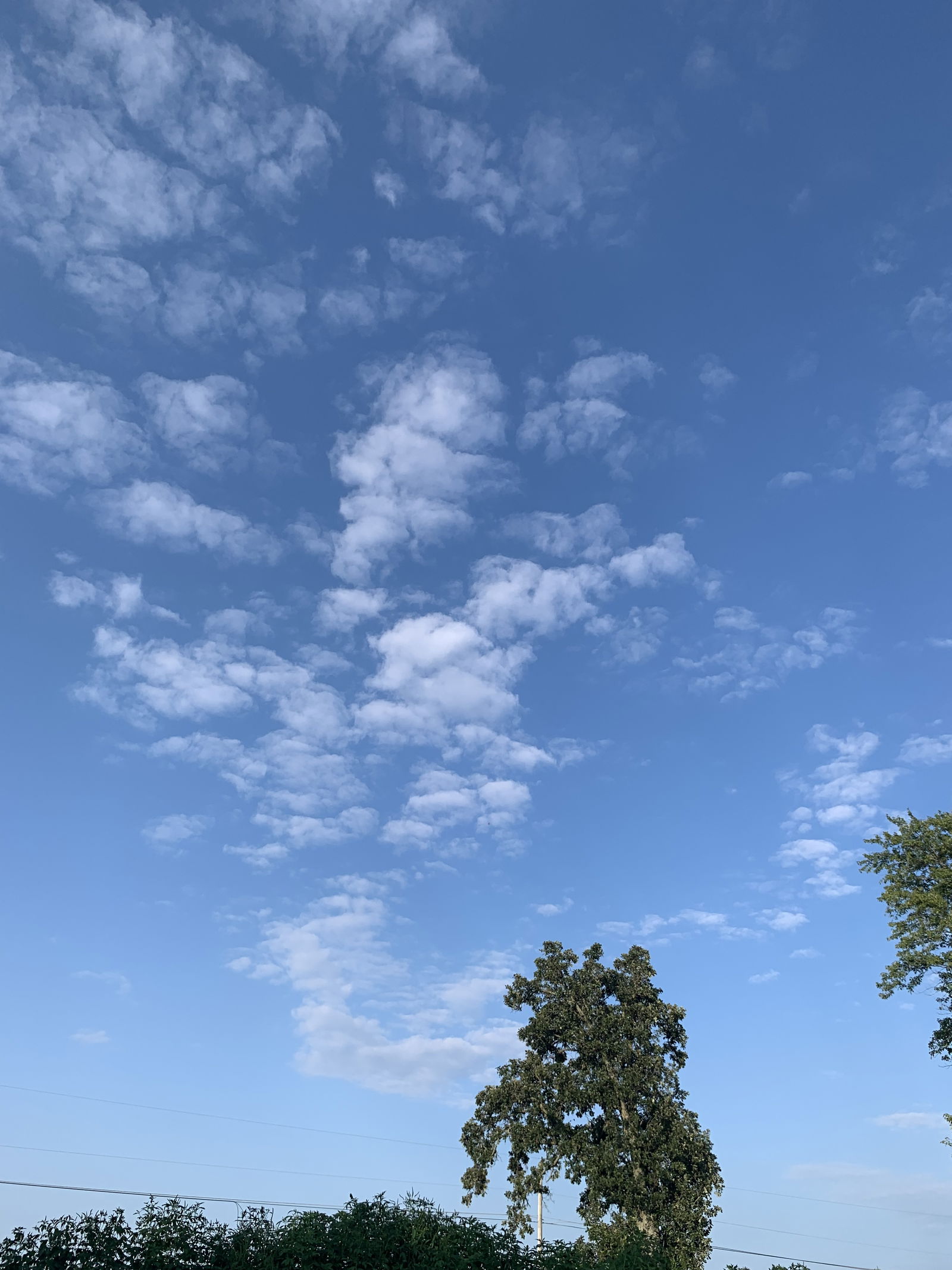 Holly profile banner