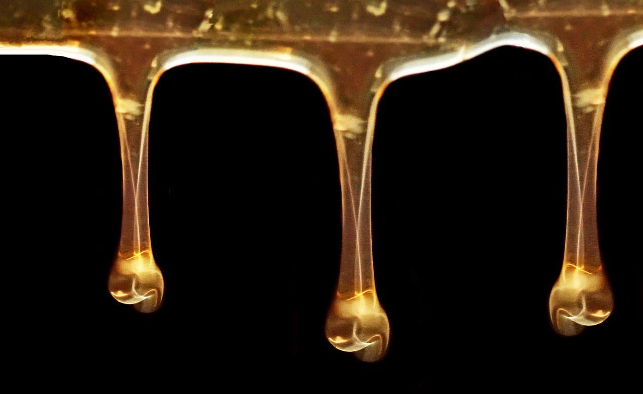 Bellini Saweet profile banner