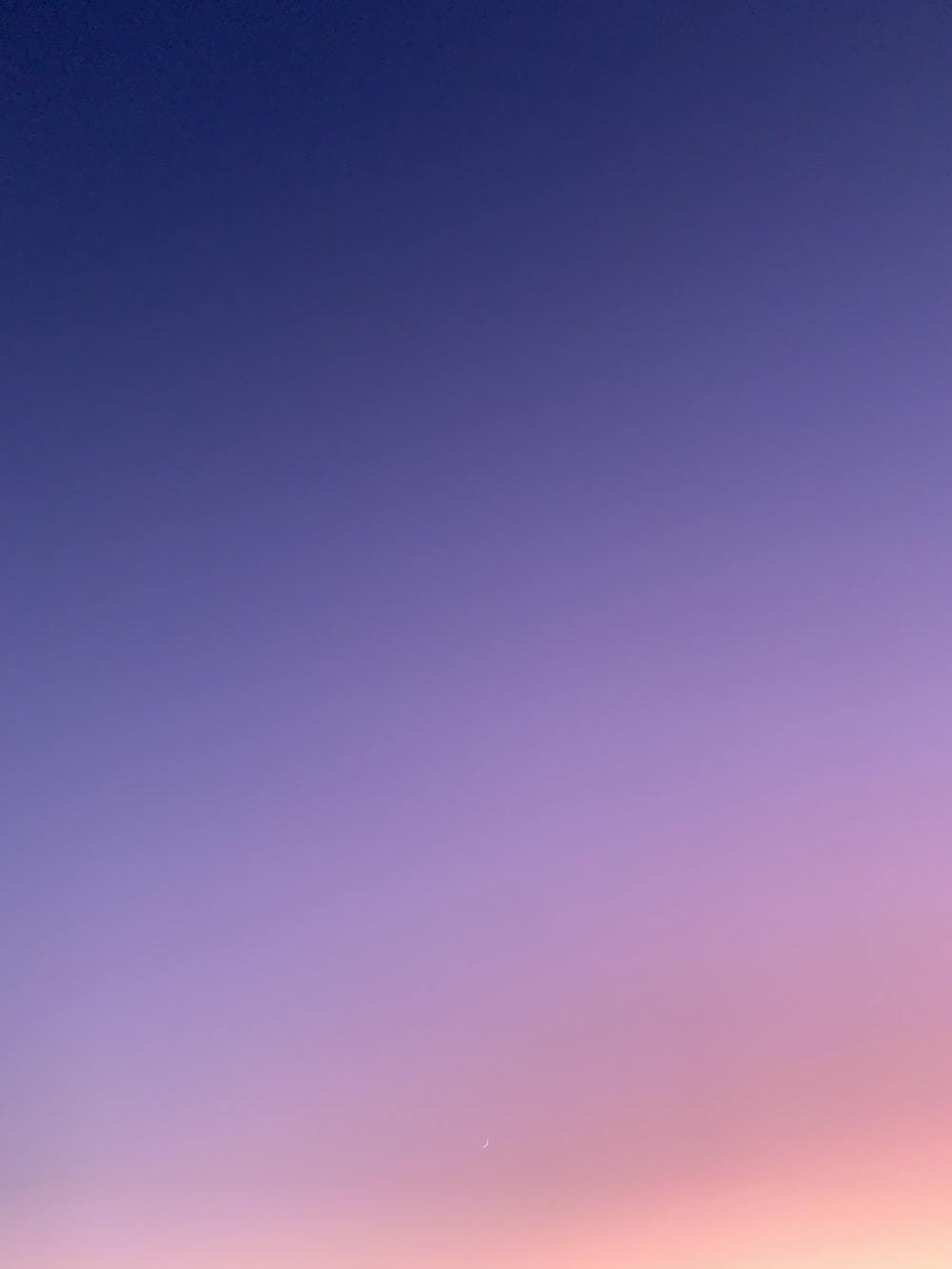 Honey B🍯 profile banner