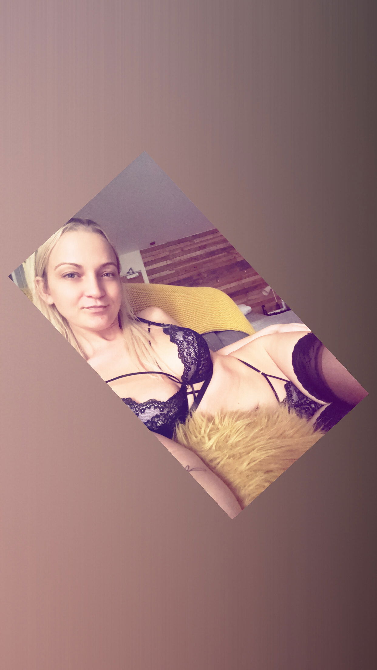 Honey bee profile banner