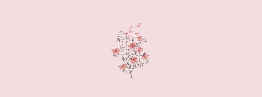 honeyblossoms profile banner