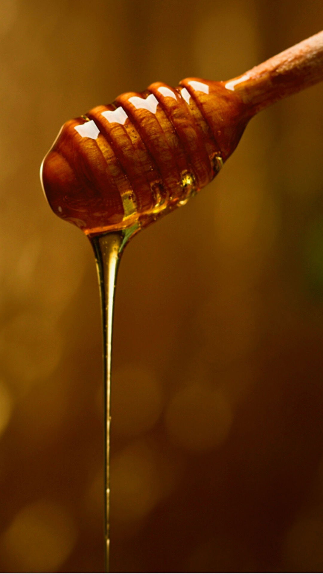 Honey profile banner