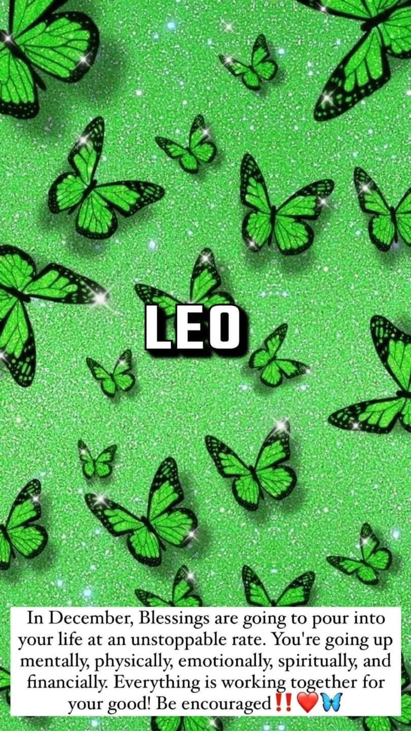 Hoodrixh✨♌️ profile banner
