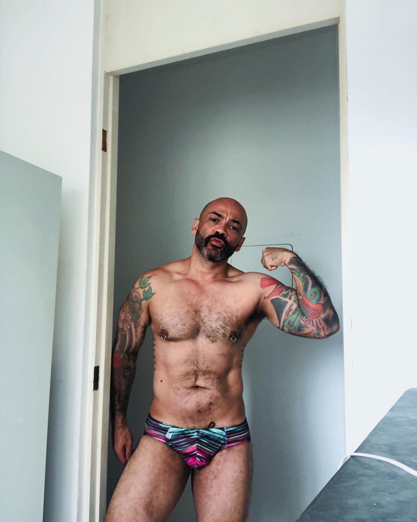 Hot Bear Brazil profile banner
