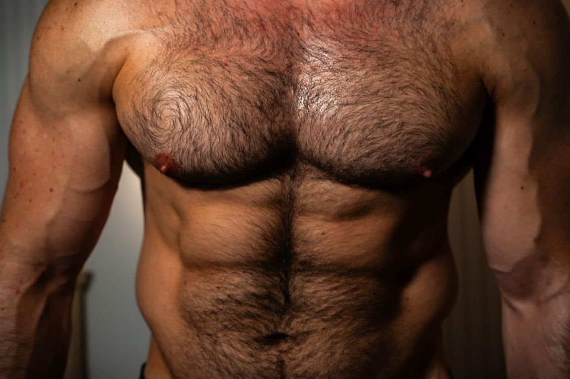 Sexy fit bear 🐻🍆🍑 profile banner