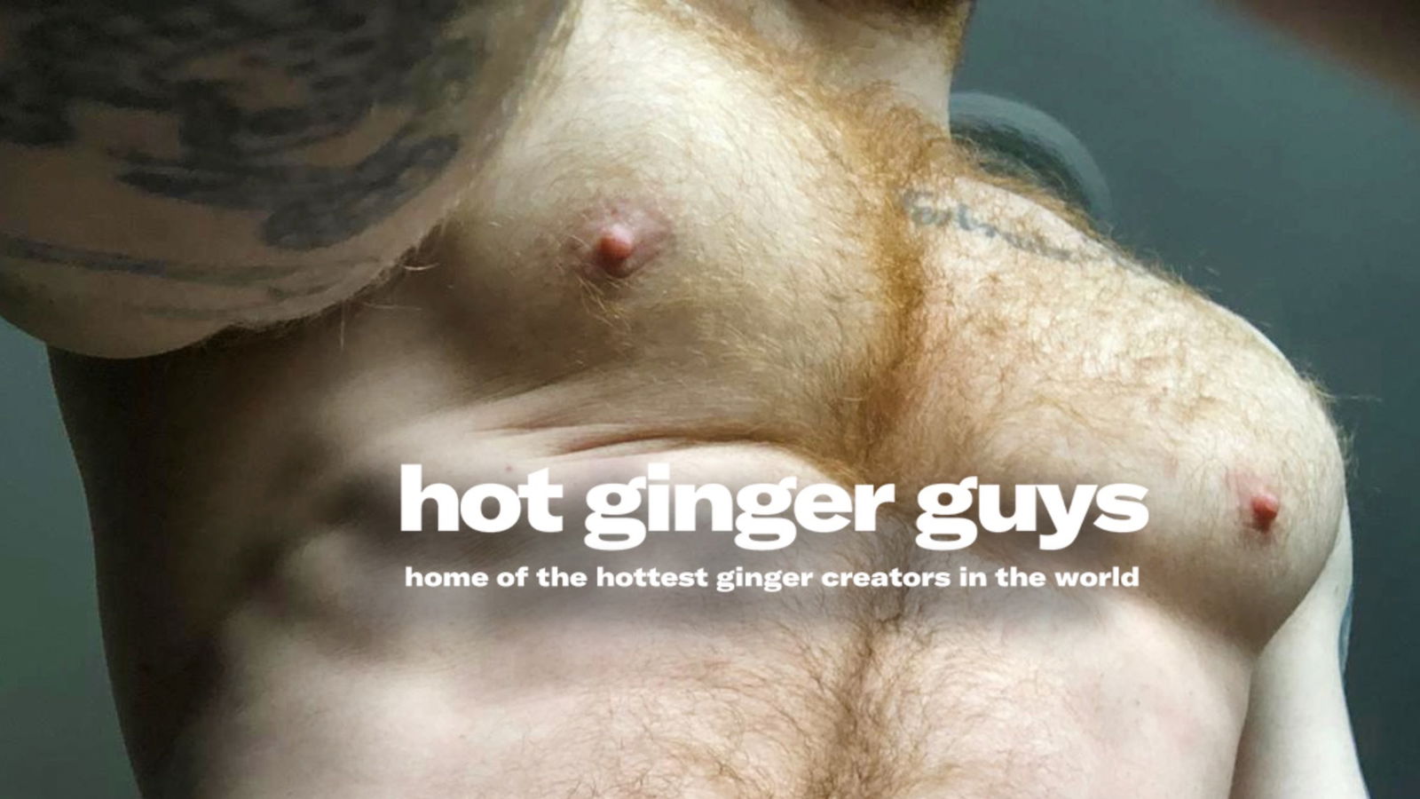 hotgingerguys banner