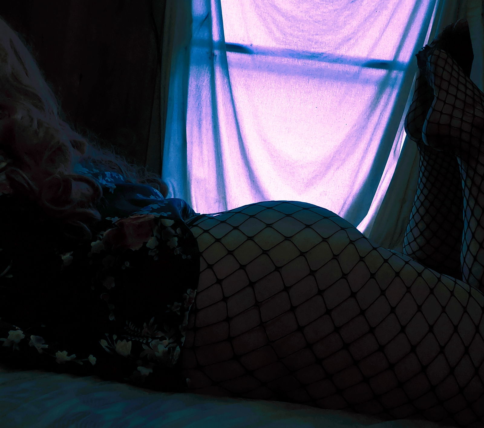hotkittykittycat banner