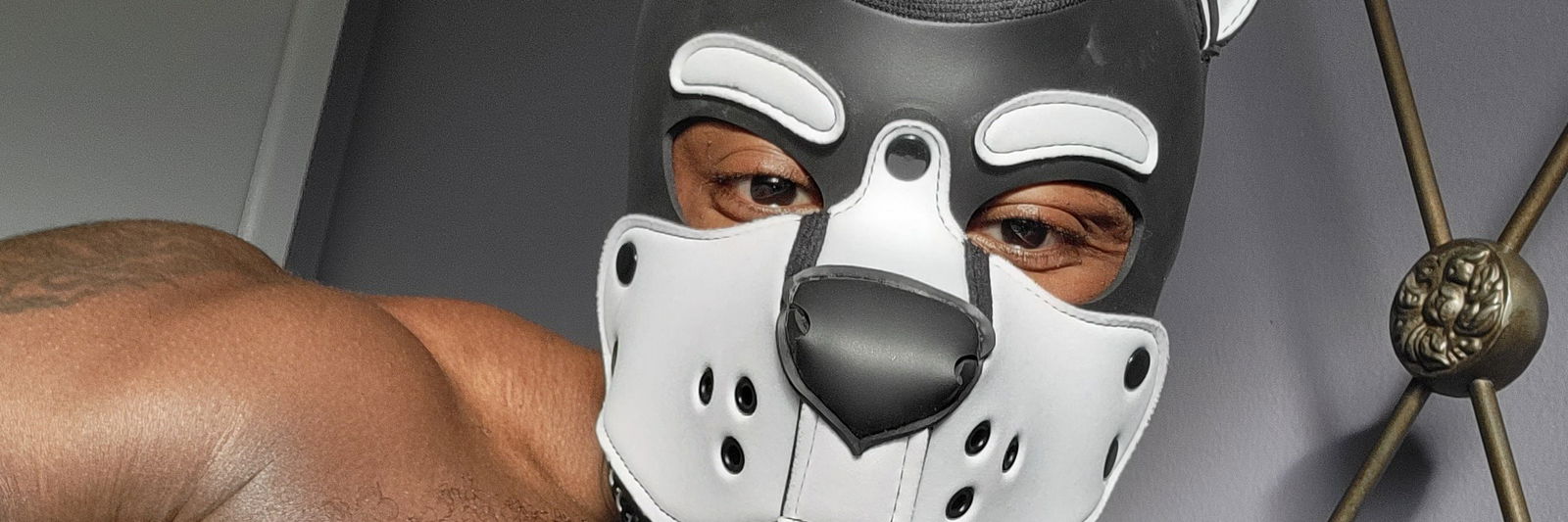 PupNamedTank profile banner
