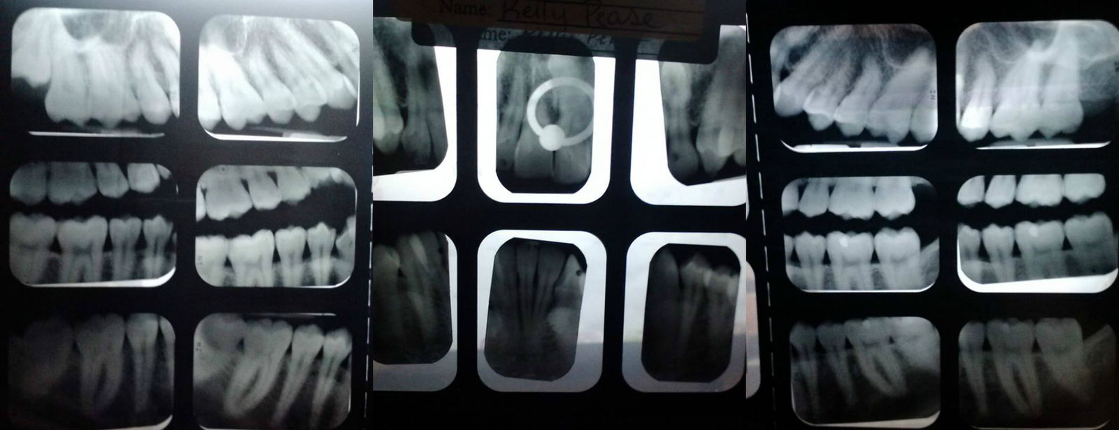 Human Lamprey profile banner
