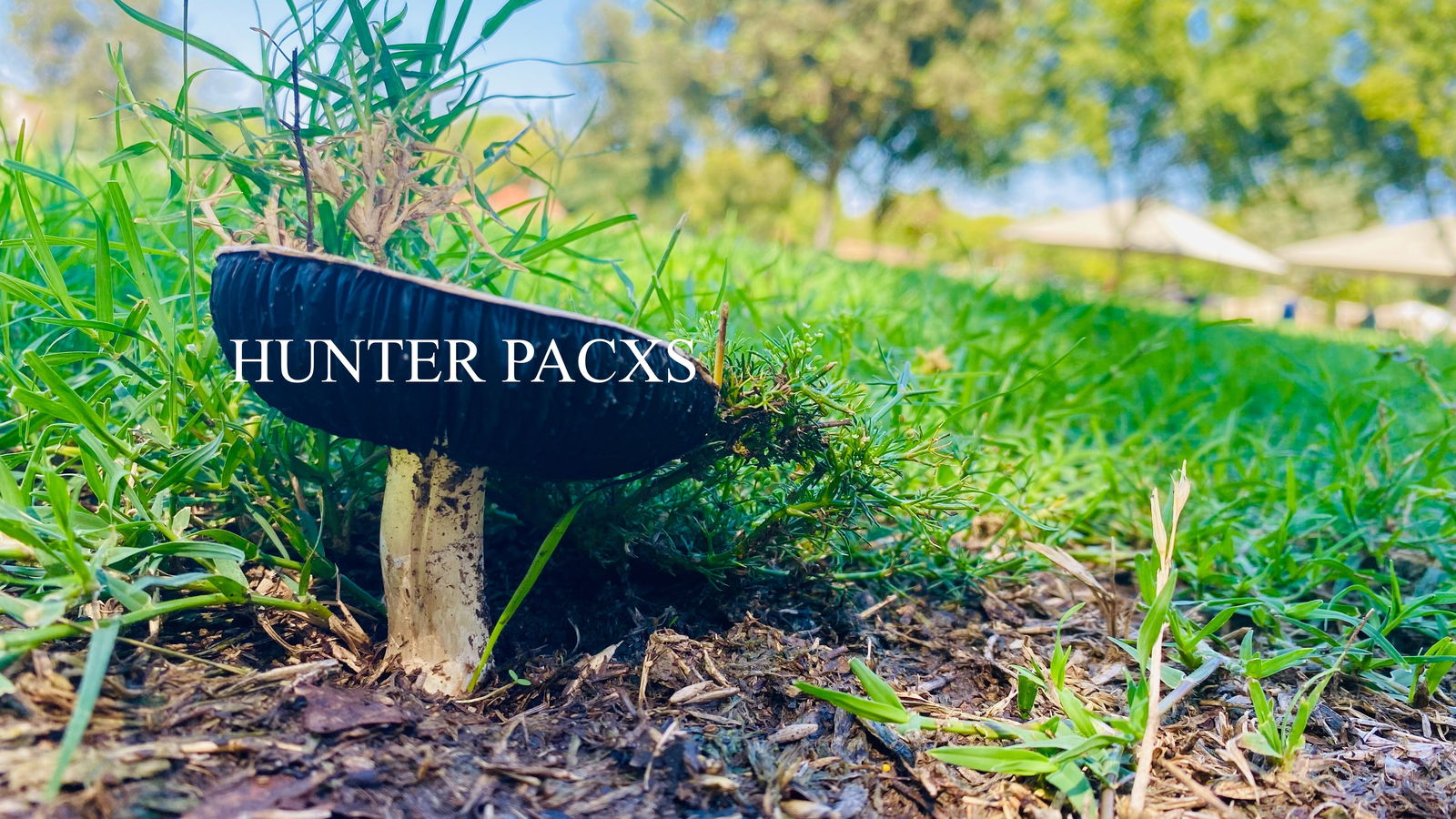 Hunter Pacxs profile banner