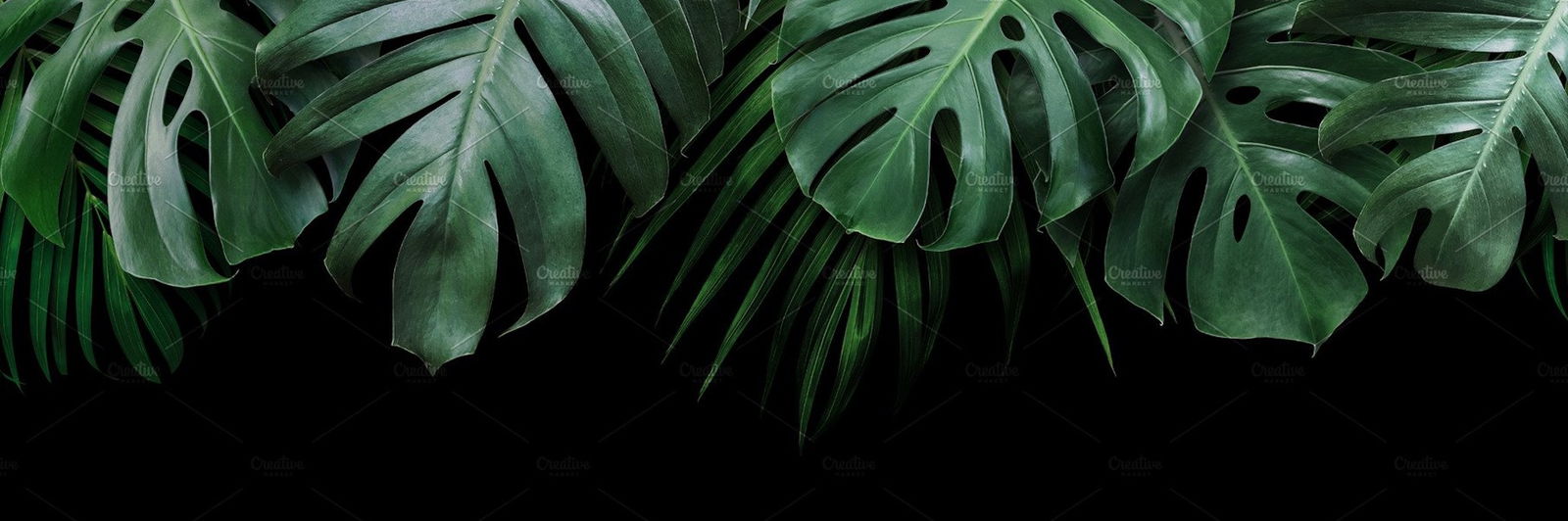 🌿REDDEA🌿 profile banner