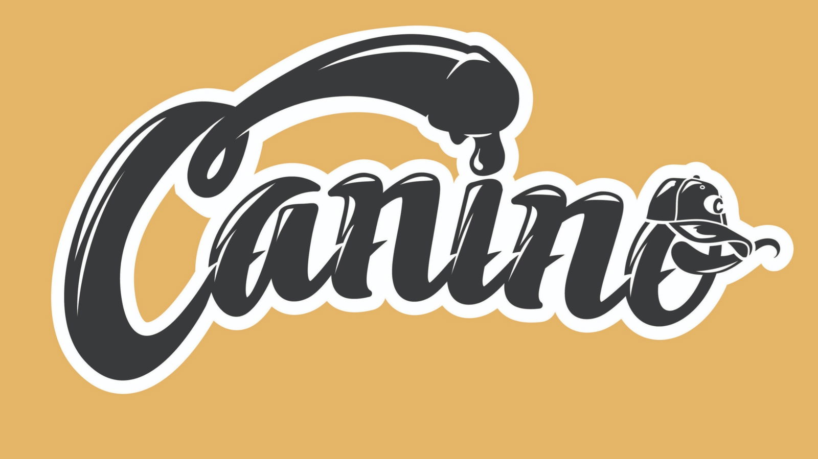 Ian Tevo profile banner