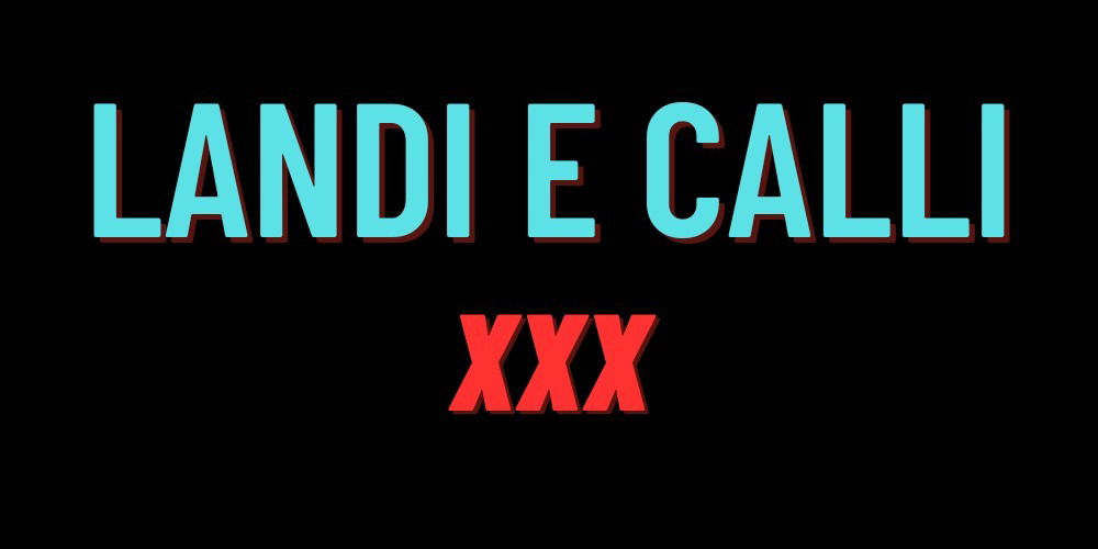 ILandi profile banner
