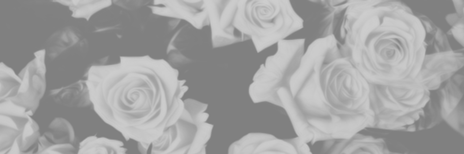 monochromatic profile banner