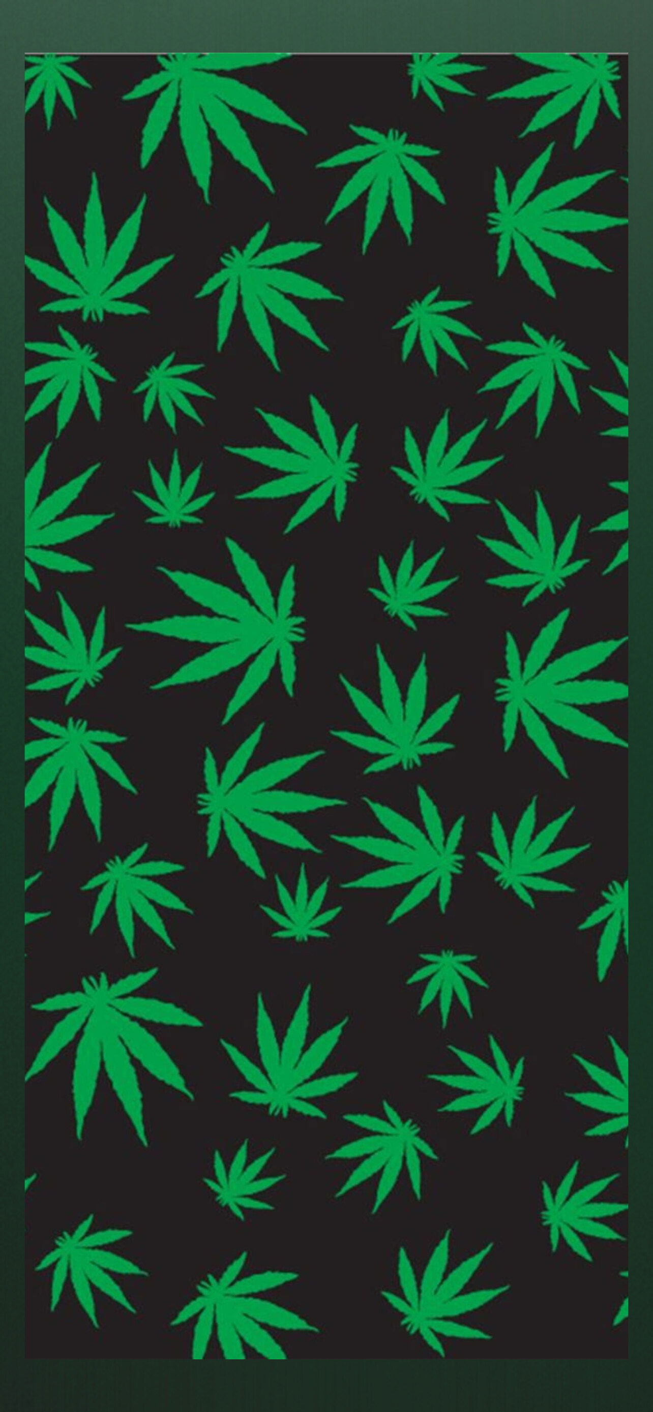 Indica π» profile banner
