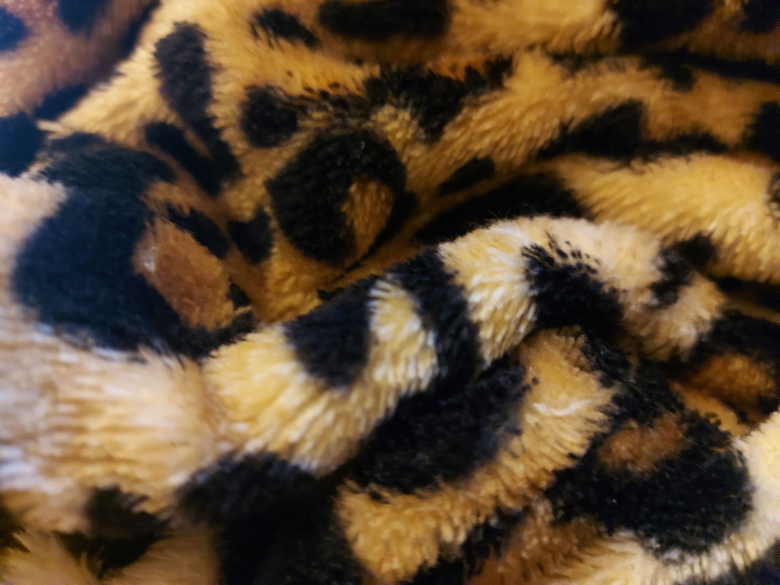 Elle's Bedroom profile banner